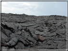 foto Parco nazionale Vulcani delle Hawaii